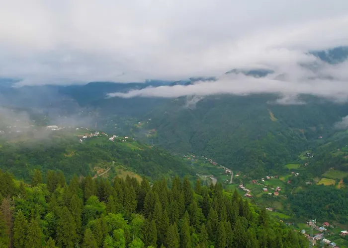 Ajara Glamping Kokotauri