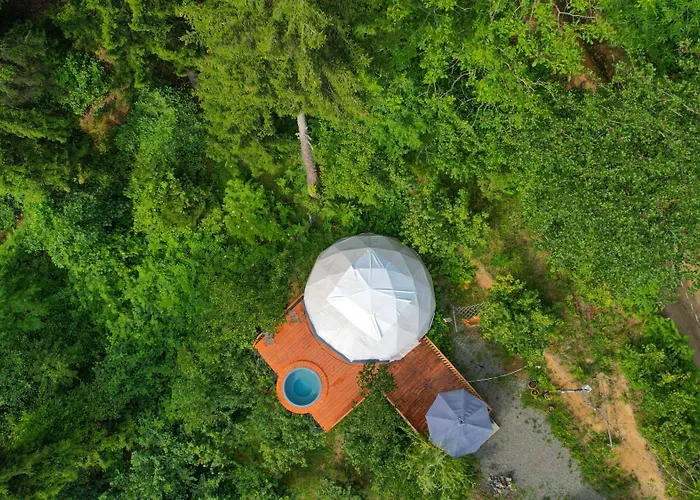 Ajara Glamping Kokotauri