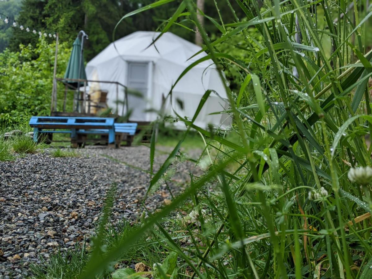Ajara Glamping Kokotauri