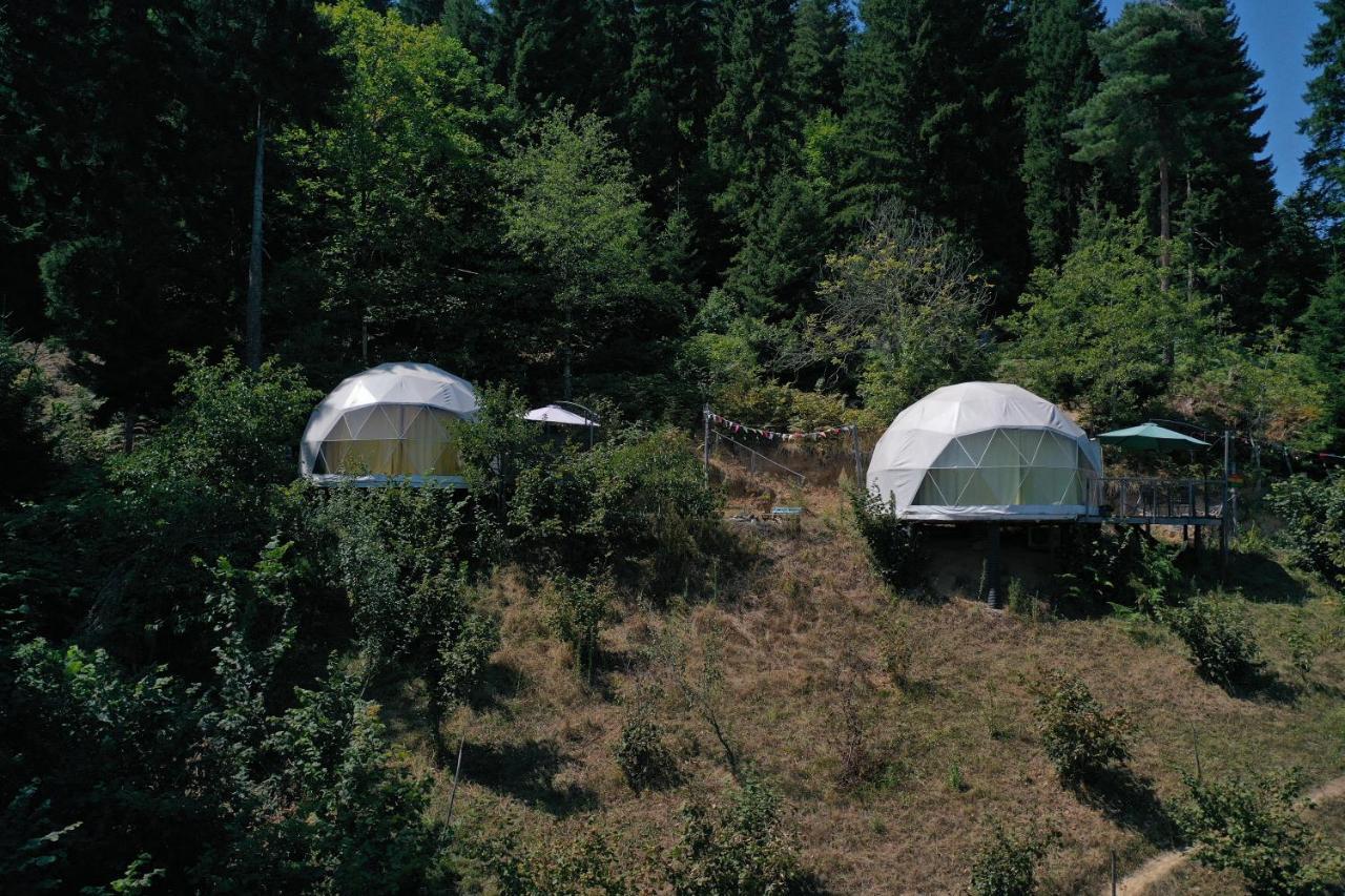 Ajara Glamping Kokotauri
