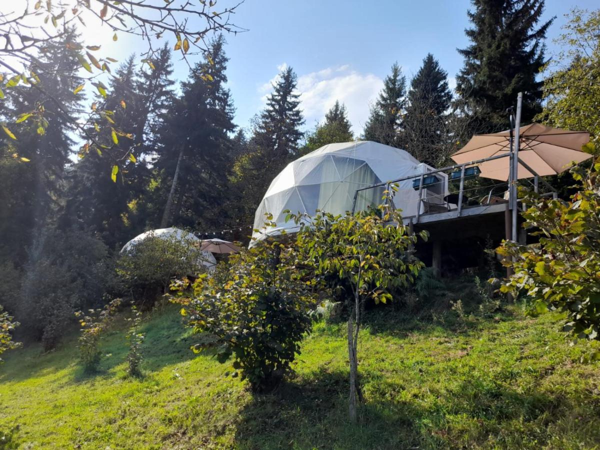 Luxury tent Ajara Glamping Kokotauri