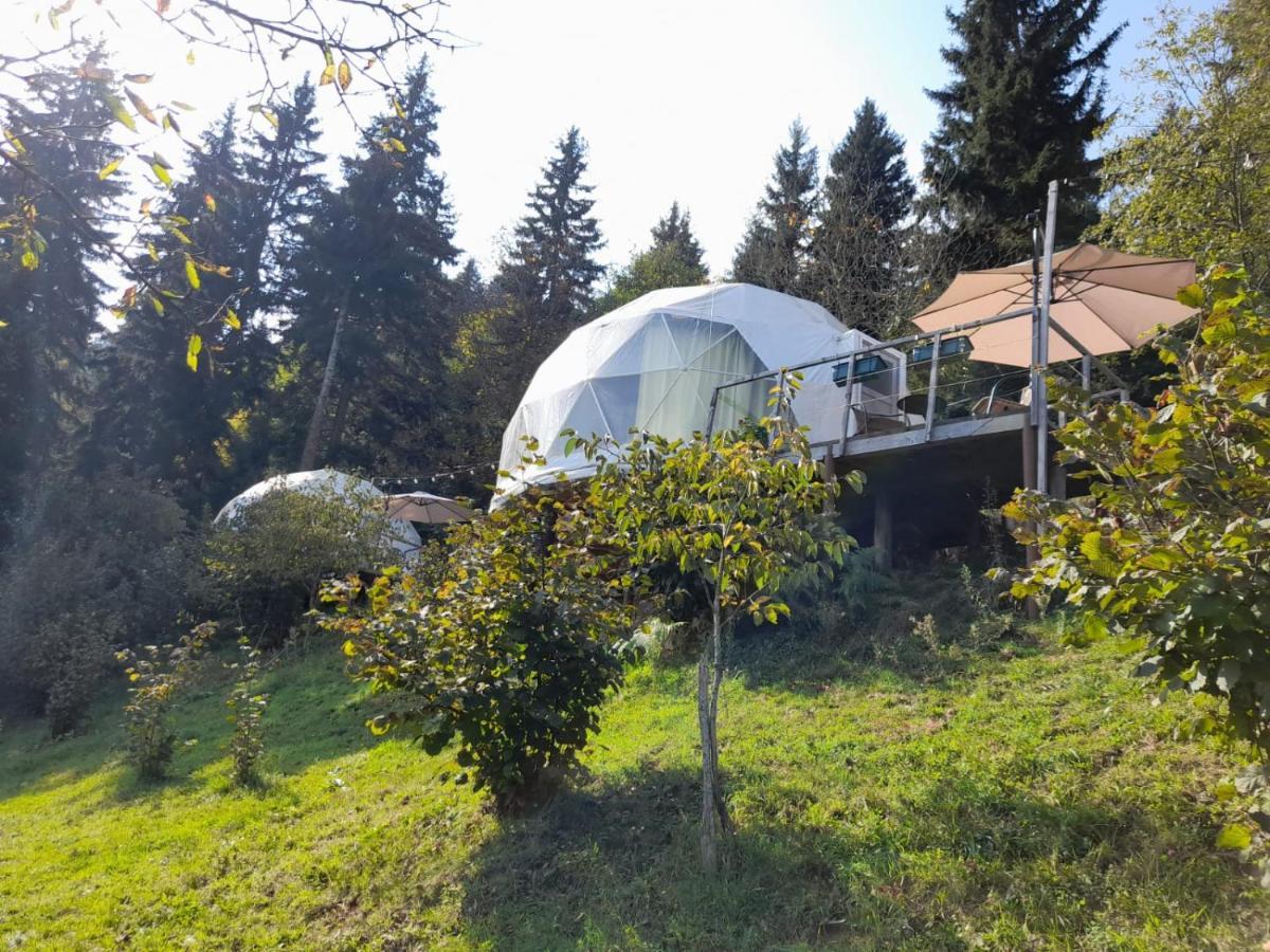 Ajara Glamping Kokotauri Luxury tent *