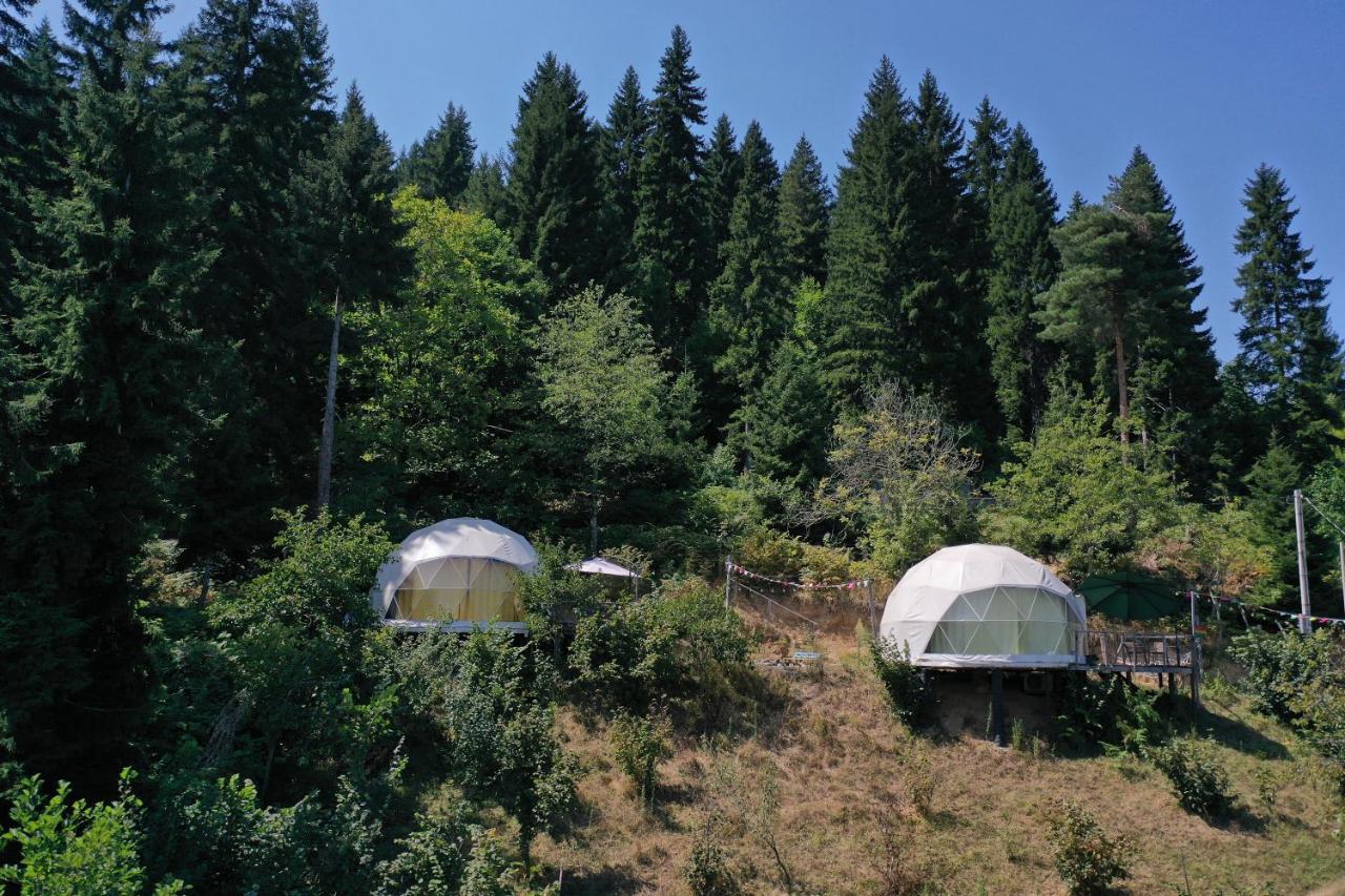 Ajara Glamping Kokotauri Luxury tent Keda